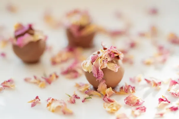 Kasyno Bella Vegas Aplikacja Android/iOS